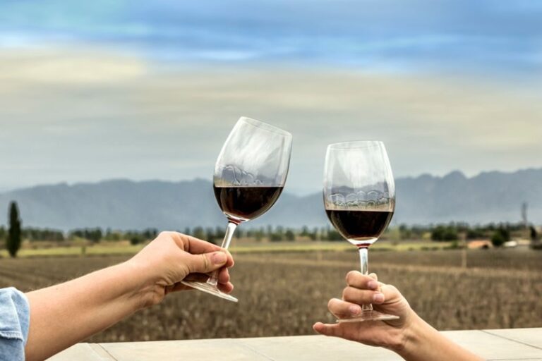 Enoturismo: debate entre expertos mundiales