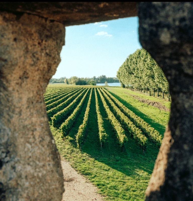 Un argentino es embajador del vino francés